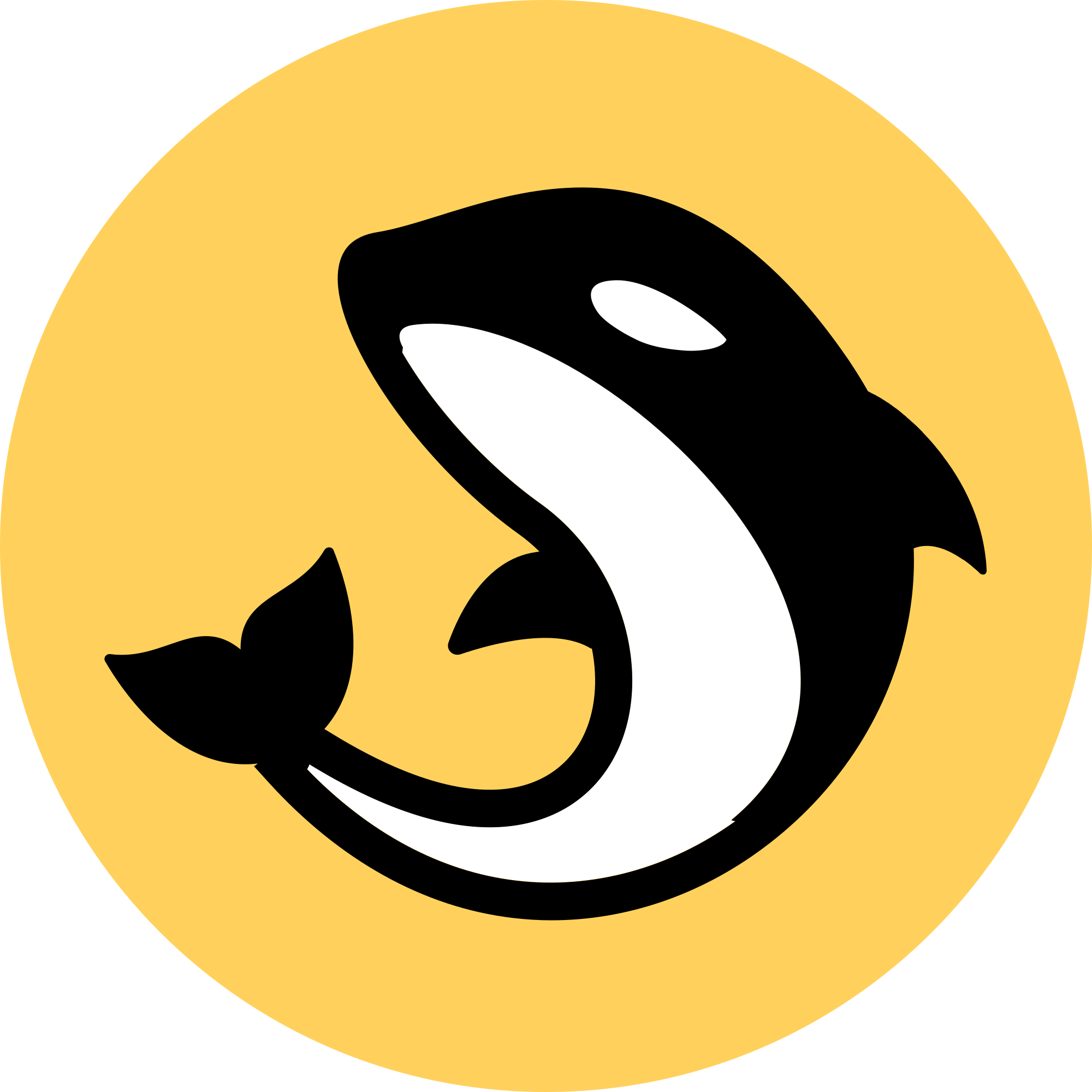 Orca Orca Pool